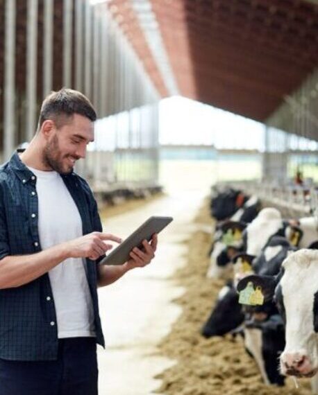 agriculteur dans son étable tenant une tablette