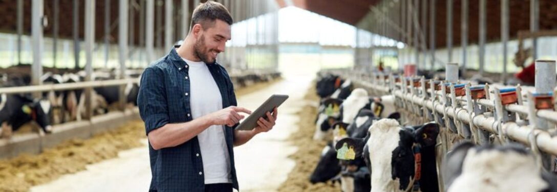 agriculteur dans son étable tenant une tablette